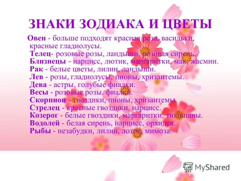 Цветы для женщины рака Цветы для женщины рака