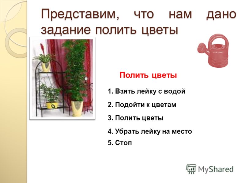 Полить цветы брагой Полить цветы брагой