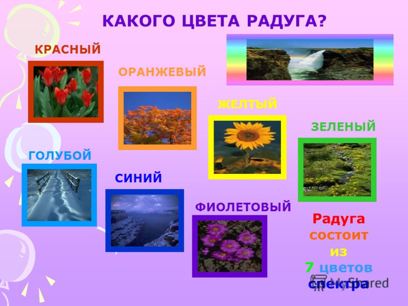 Оранжевый цвет состоит из Оранжевый цвет состоит из