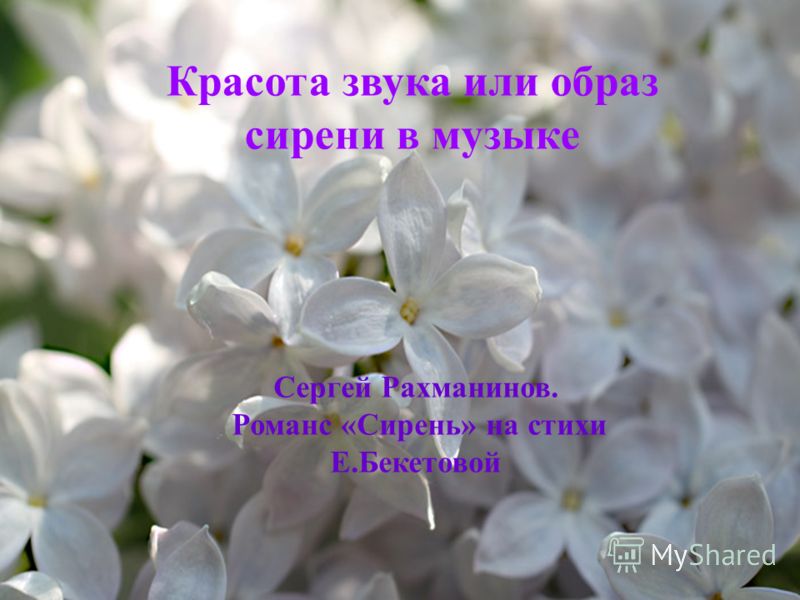 эпитеты к слову ажур или