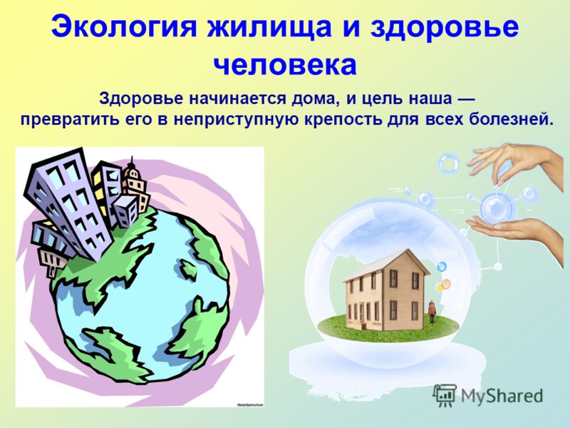 Реферат Экология И Здоровье Человека Реферат Экология И Здоровье Человека