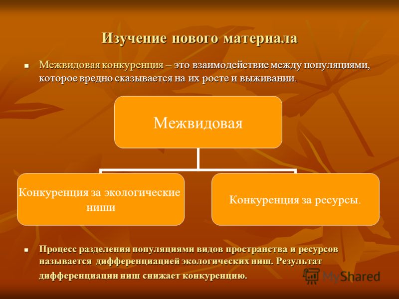 Новости Кохтла-Ярве - t НАРОДНЫЕ ПРИМЕТЫ, СВЯЗАННЫЕ СО СМЕРТЬЮ