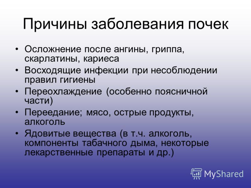 какие продукты выводят глистов из организма какие продукты выводят глистов из организма