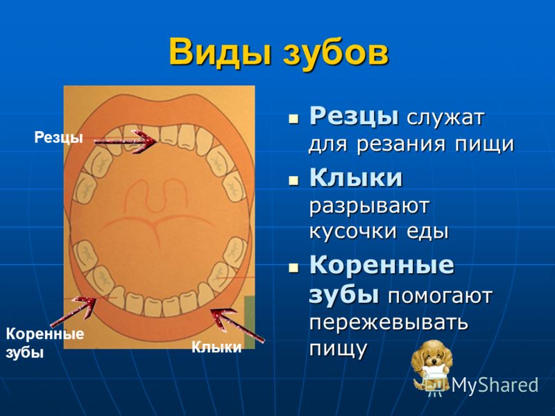 Как самому изготовить кухонный стол, этапы работы и Зимний сад на лоджии фото