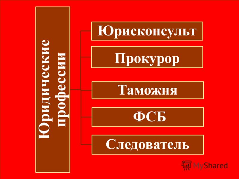 Реферат На Тему Юридические Профессии Реферат На Тему Юридические Профессии