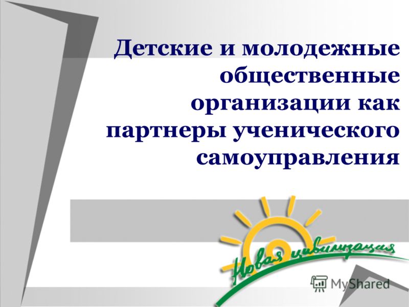 Проект молодежные общественные организации