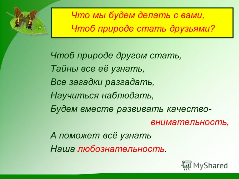 Стих об окружающем нас мире Стих об окружающем нас мире