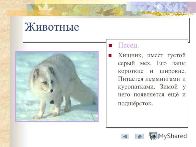 Баклажаны на зиму без стерилизации быстро