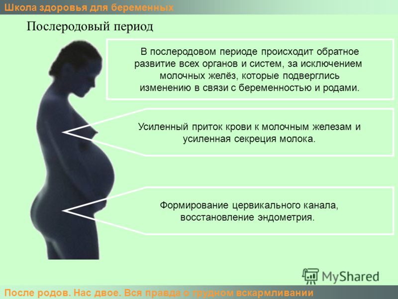 Замершая Журнал Игры и Игрушки 4-2015 by Alla - issuu