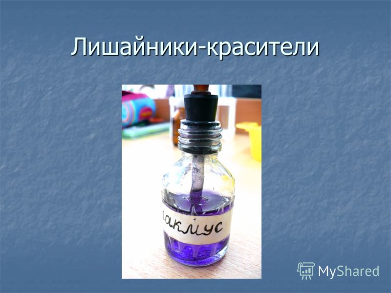 Форум по теме: C чем носить юбку-карандаш в 2019 году Дисскусии по теме: C чем носить юбку-карандаш в 2019 году
