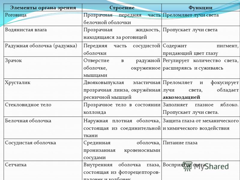 Строение 5 Строение 48
