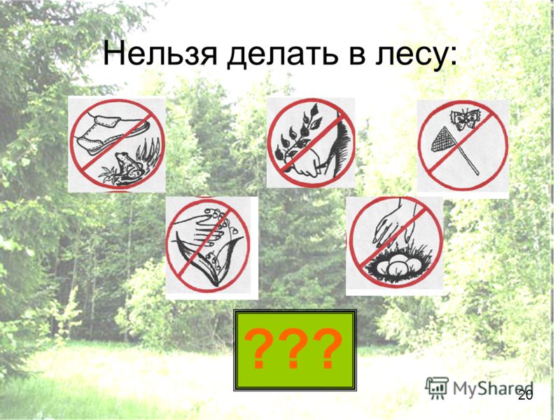 Чего нельзя рисовать Чего нельзя рисовать