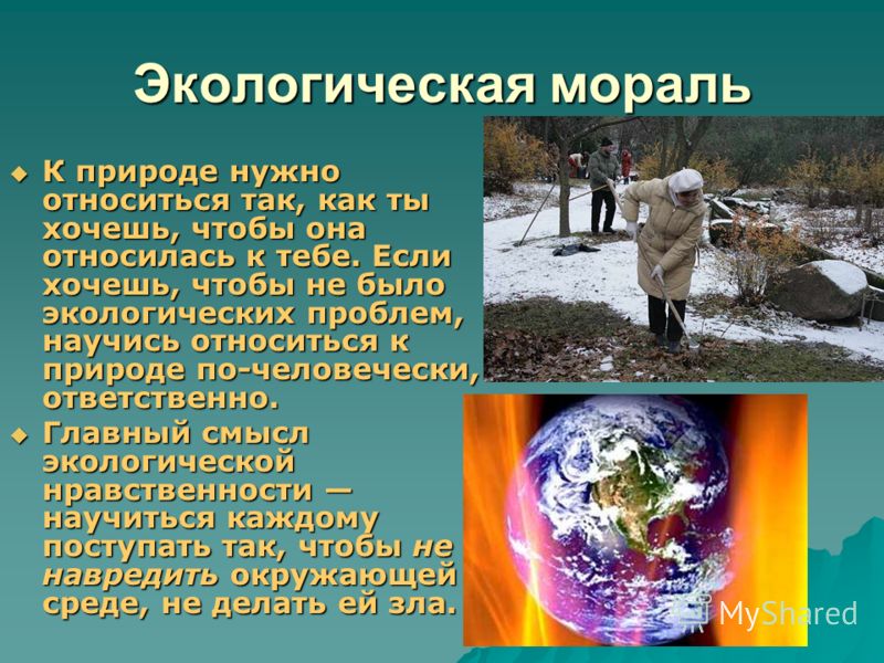 Плакат экологическая мораль Плакат экологическая мораль