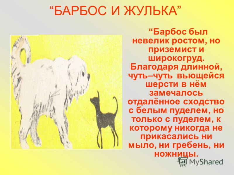 Рисунок барбоса и жульки из рассказа барбос и жулька Рисунок барбоса и жульки из рассказа барбос и жулька
