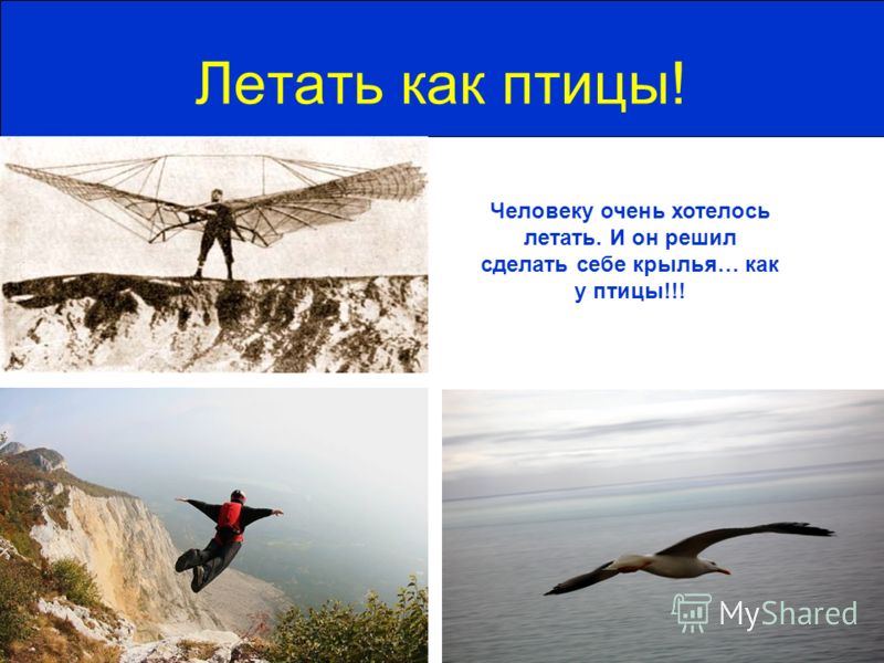 Как сделать крылья чтобы человек на них летал Как сделать крылья чтобы человек на них летал