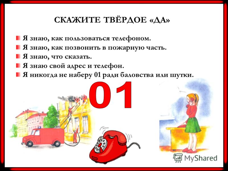 Что такое тычиночный цветок Что такое тычиночный цветок