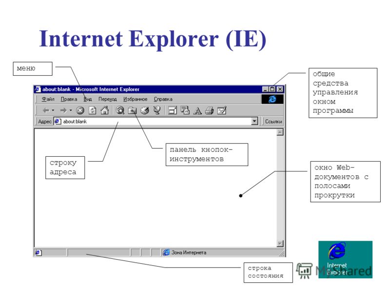 Internet Explorer (IE) окно Web- документов с полосами прокрутки меню панель кнопок- инструментов общие средства управления окном программы строку адреса строка состояния