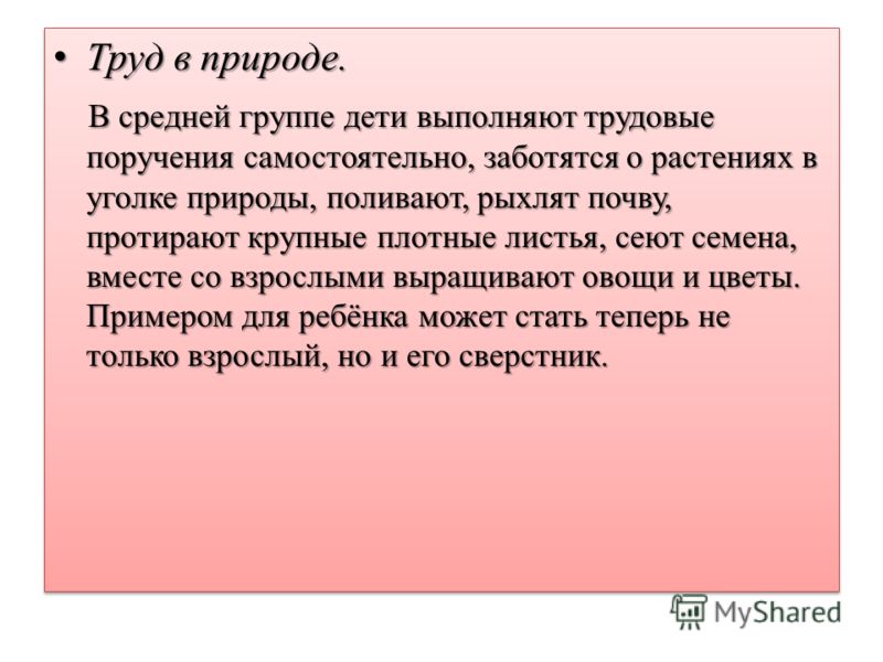 Картинки дети делают опыты в уголке природы Картинки дети делают опыты в уголке природы