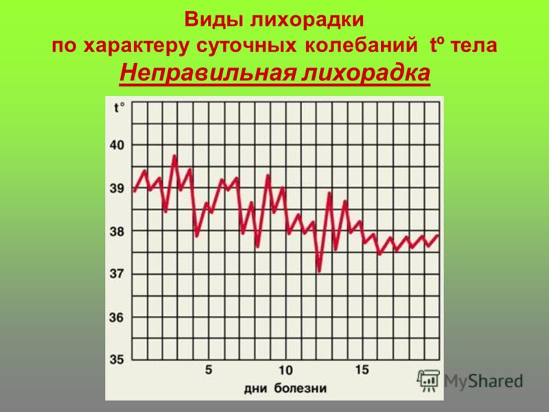 лихорадка виды периоды