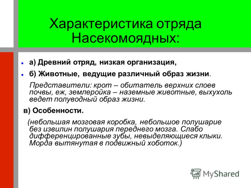 Конспект по параграфу класс насекомоядные