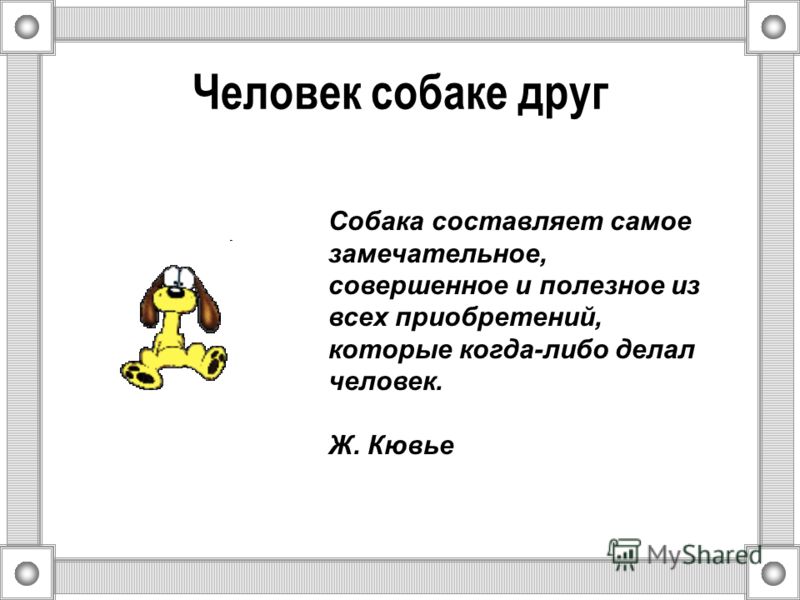 человек собаке друг песня скачать