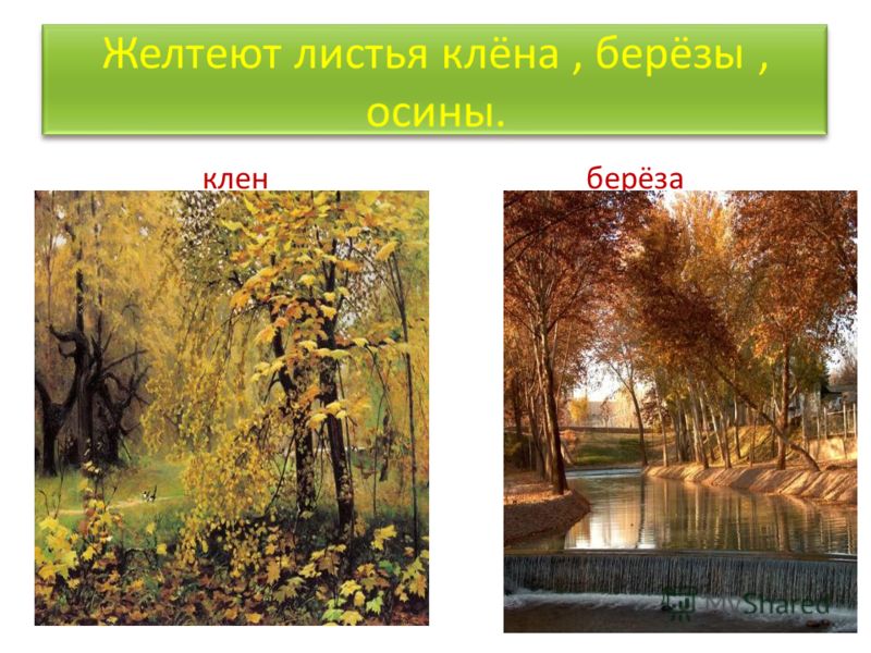 Изменения живой природы в октябре, сайт голос от 27 ноября и решить симплекс методом задачу линейного программирования онлайн Изменения живой природы в октябре