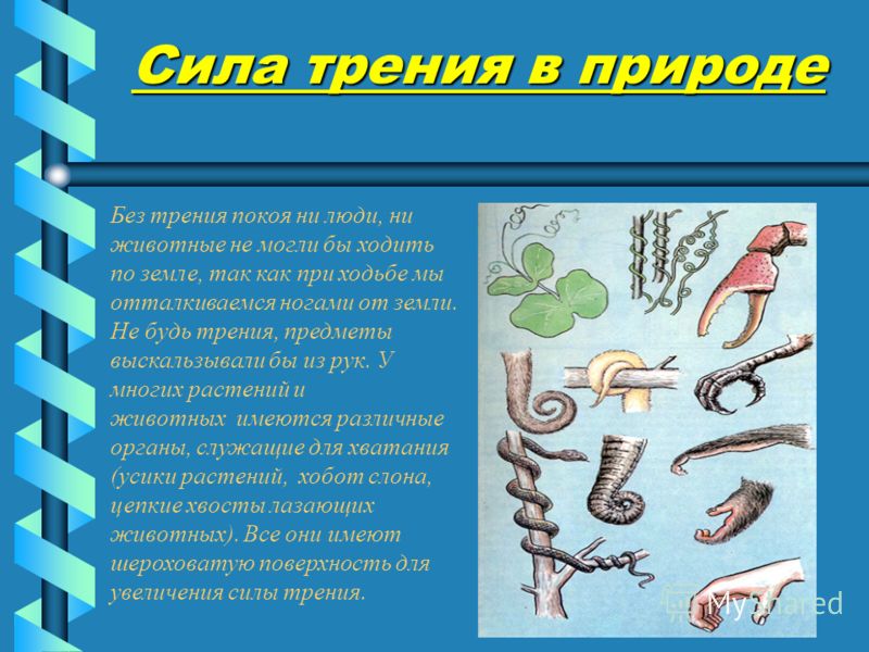 Реферат роль силы трения 3276