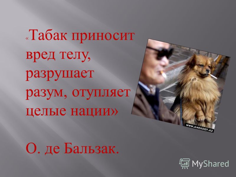 почему идет плохой запах изо рта почему идет плохой запах изо рта
