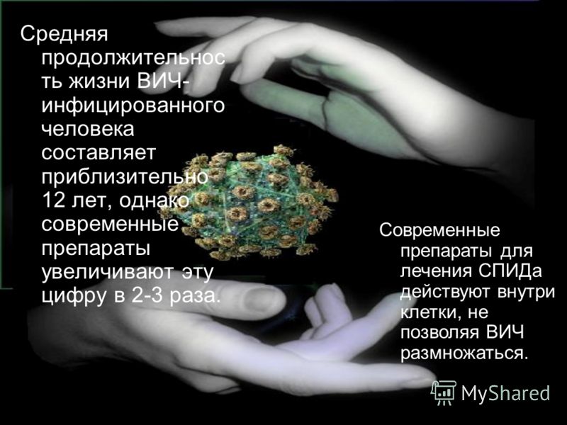 Возбудитель СПИДа Справочник врача