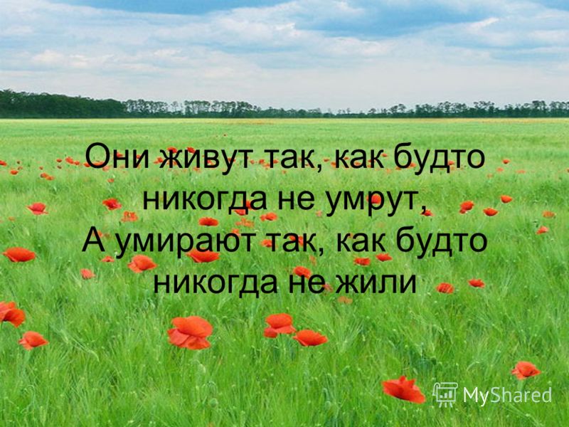 Плакат из сладостей своими руками