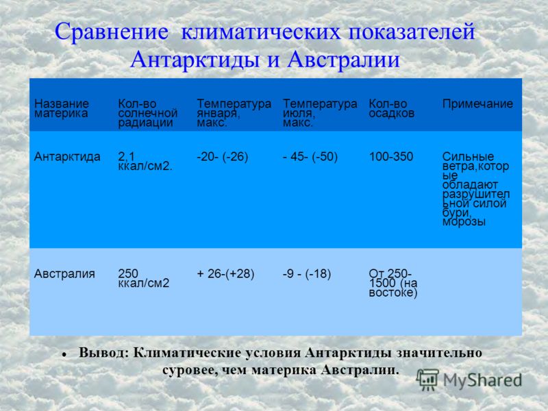 Сколько на земле тропиков 59 фото - ZooClever.ru