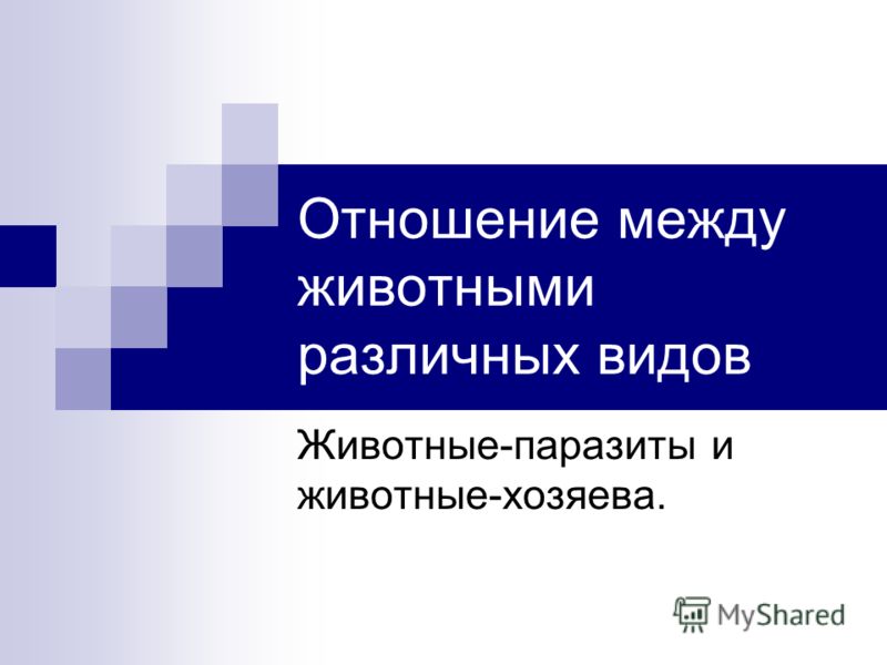 Какому врачу обратиться если есть глисты