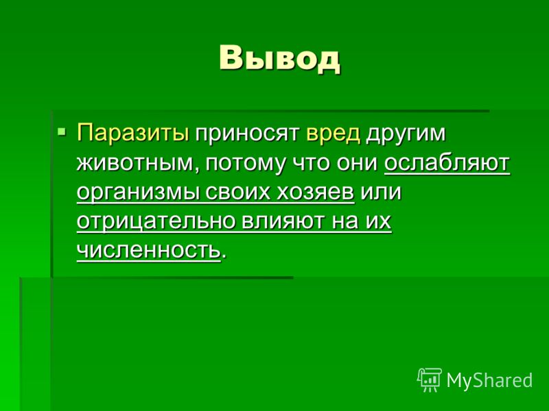 паразиты от птиц паразиты от птиц
