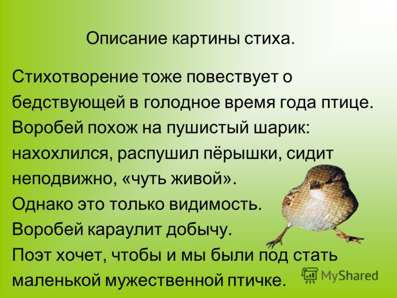 Стих воробей николая рубцова Стих воробей николая рубцова