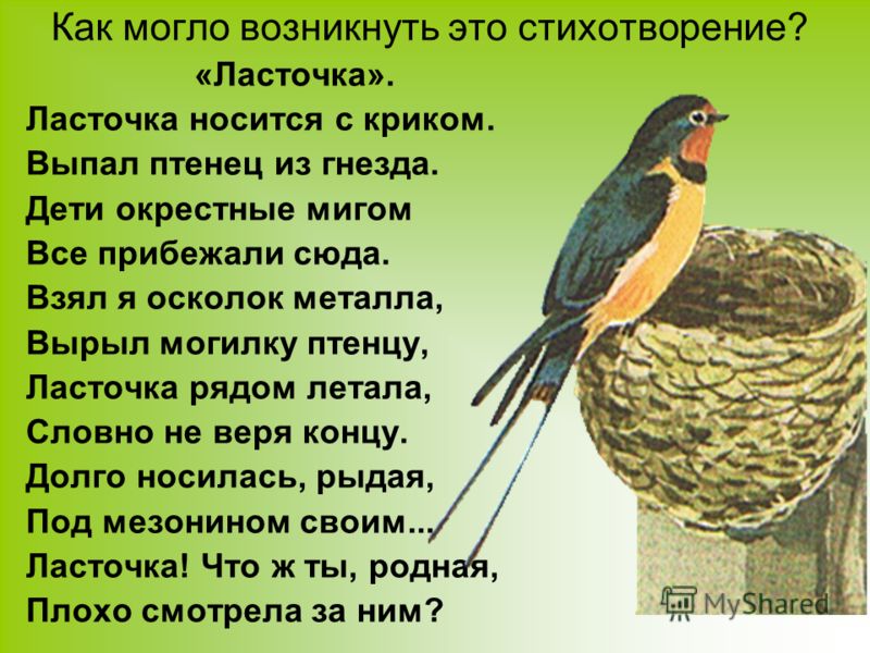 Конкурс по видеозаписям для музыкантов Конкурс по видеозаписям для музыкантов