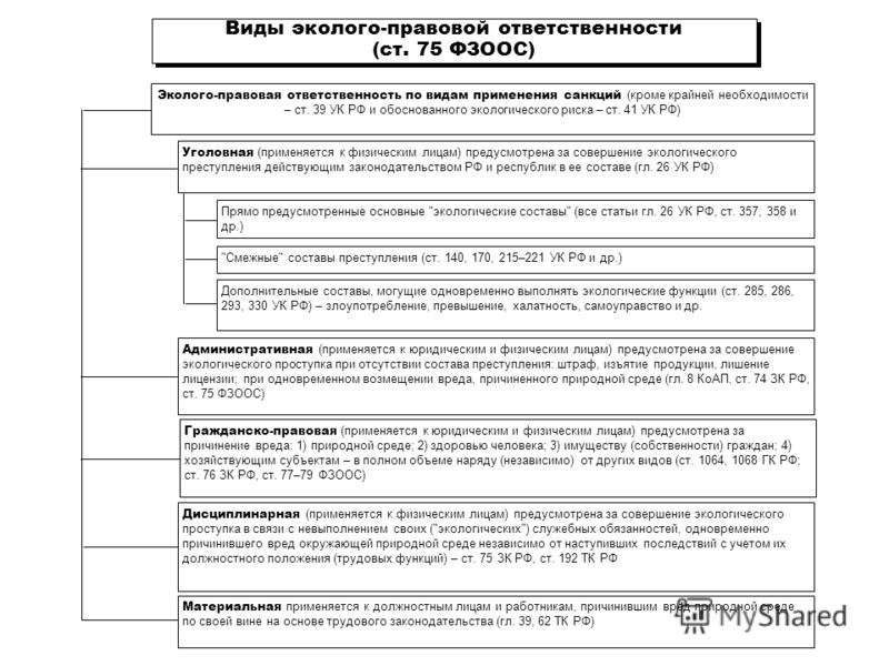 Международная эколого правовая ответственность наконец
