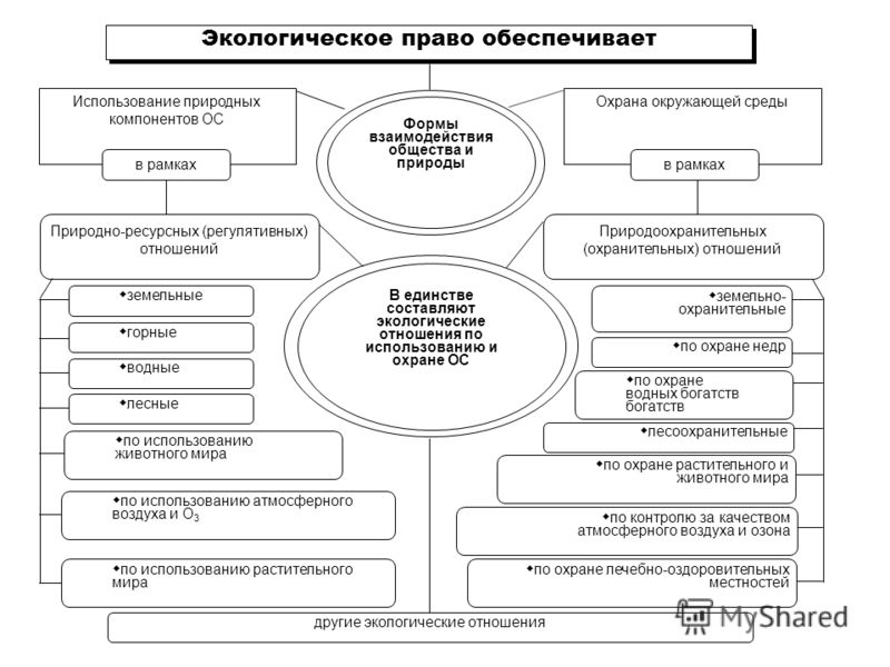 Таинственный народ - ассирийцы Ассирийцы Казани: взгляд этнографа