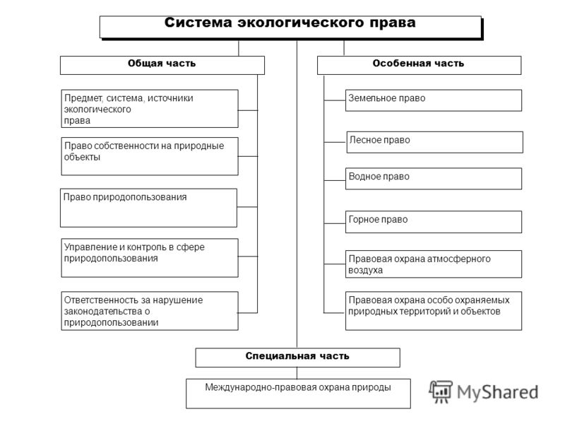 Экологическое право в схемах