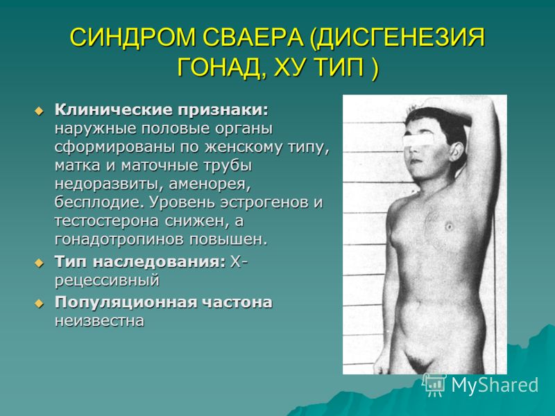 Пластика женского органа Пластика женского органа
