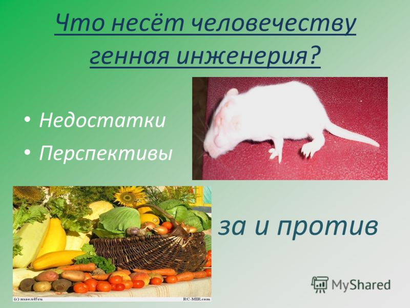 Почему к россии такое отношение в мире Почему к россии такое отношение в мире