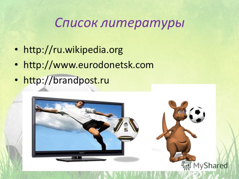 Список литературы http://ru.wikipedia.org http://www.eurodonetsk.com http://brandpost.ru