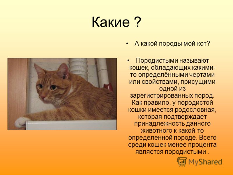 Как сделать живого человека 166