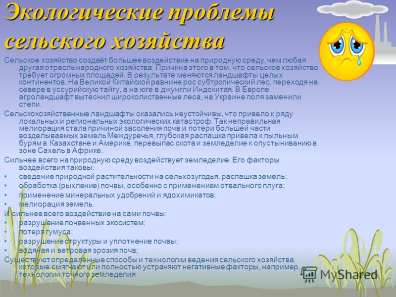 Перевернутые позы в йоге: польза и противопоказания Паттайя - Тайланд, фото, видео, отдых в Паттайе