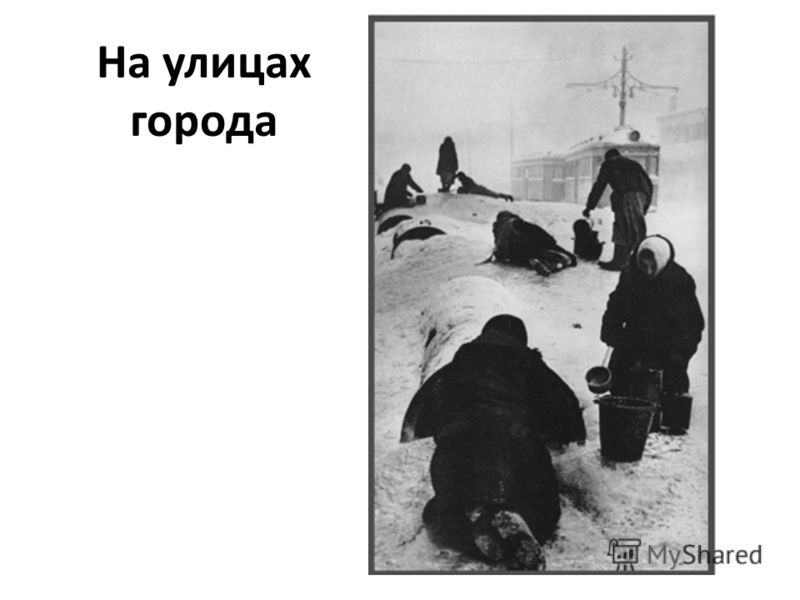 сколько человеке паразитов сколько человеке паразитов
