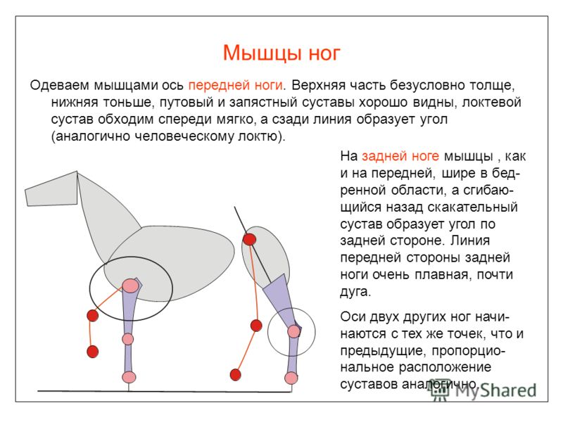 Грыжа в шейном отделе можно ли делать массаж
