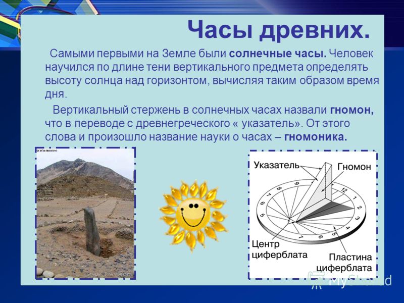 Солнечные цветы были самыми Солнечные цветы были самыми