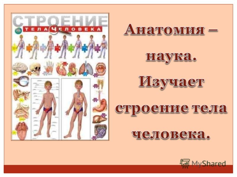 Дом 2 новости свежие на сегодня шлок