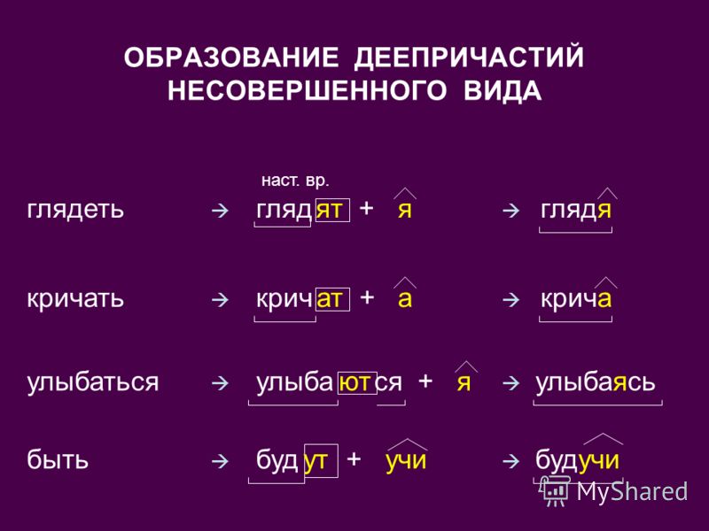 Найдите Деепричастие Посмотрела Услышав Познакомься Сожалевший