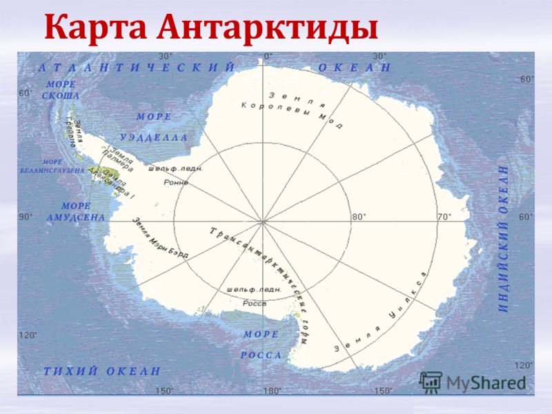 Где на карте находится антарктида Где на карте находится антарктида