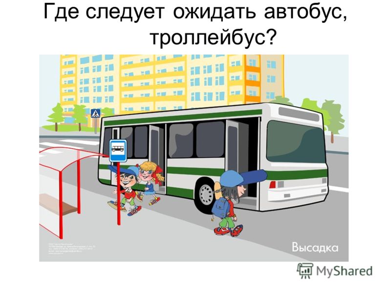 Где следует ожидать автобус, троллейбус?